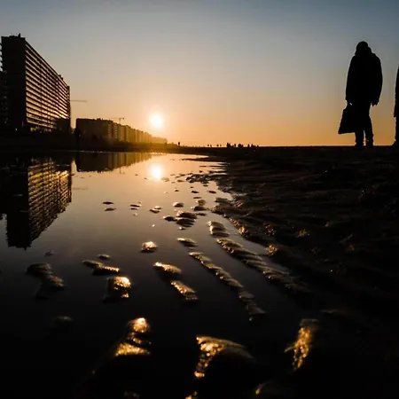 In With Stunning Sea View Ostende