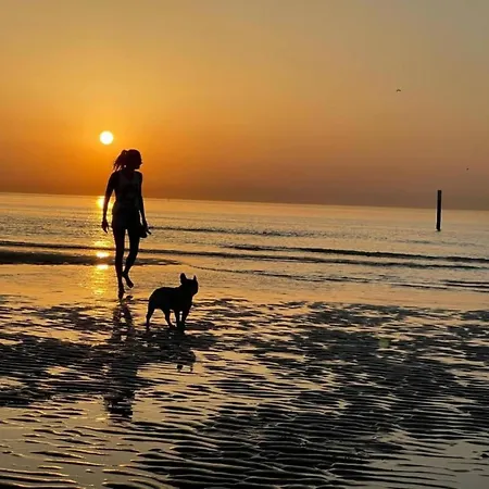 In With Stunning Sea View Apartmán