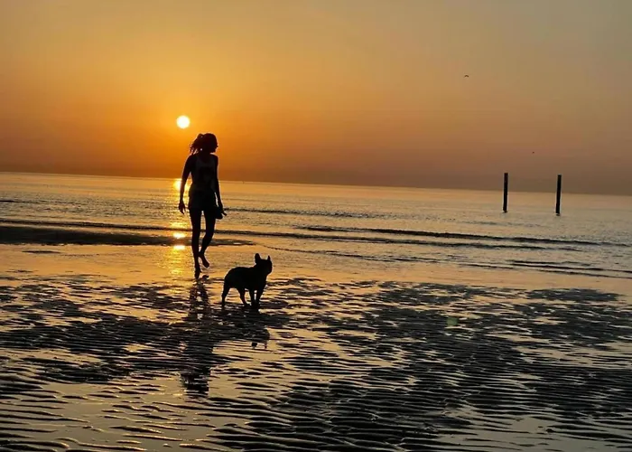 In With Stunning Sea View Apartman