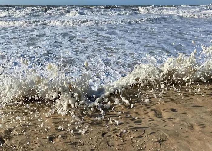 In With Stunning Sea View Apartman Ostende