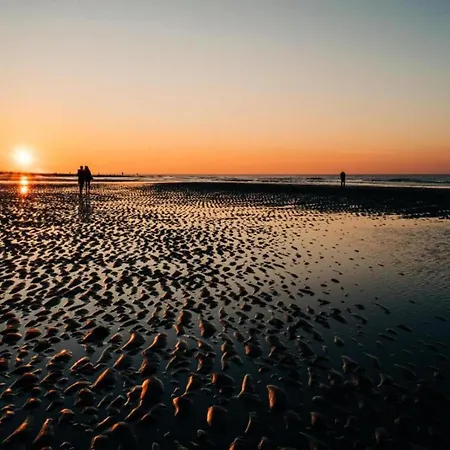 Apartamento In With Stunning Sea View Ostende